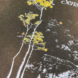 Худі "SENSE OF AUTUMN"