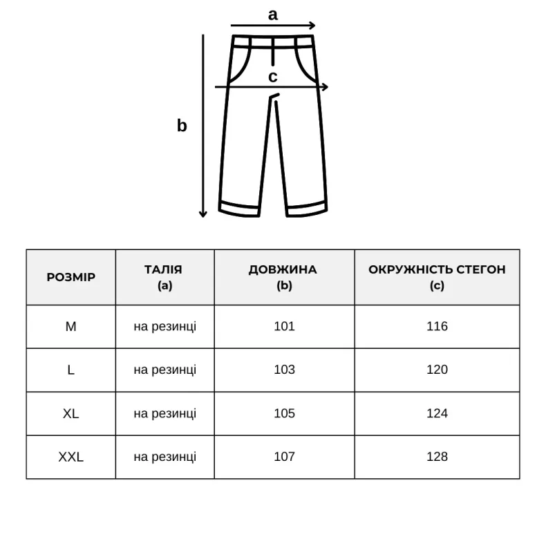 Streetwear, casual Штани "FREEMOVE"