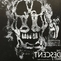 Футболка "THE DESCENT"