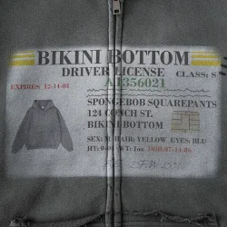 Зіп худі з утепленням "DRIVER BIKINI BOTTOM"