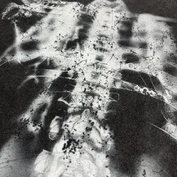 Футболка "XRAY"